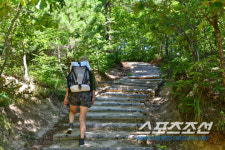 복더위, 산바람-바닷바람 찾아 떠나는 걷기 여행길