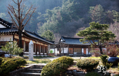 자연이 살아 숨쉬는 힐링 캠핑장 & 펜션, 알프스밸리