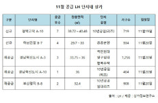 11월 평택고덕 등 5곳 LH 단지내 상가 17호 공급