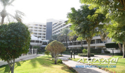 [대표팀 다이어리]벤투호가 결전지 알아인에 경기 하루 전 입성한 이유는?