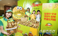 제스프리, 꽉 찬 영양소와 달콤한 맛의 썬골드 키위·그린키위 2019년 첫 출하