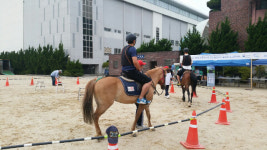 한국마사회, 전국 체육 교사와 함께 말산업 토크콘서트
