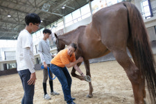 한국마사회, 해외 전문가 초청해 동물 복지 향상 기술 전파