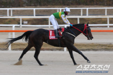 [경마]김용근 경마 기수 700승 코 앞, 활동지 변경 후 최고의 활약