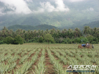 유니베라, 산업통산자원부 주최 세계일류상품 17년 연속 선정