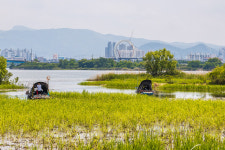 초여름, 책 향기 따라 걸어 볼까?