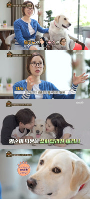 '나는아픈개와산다' 채리나 