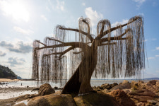 문화예술이 흐르는 만추의 섬을 찾아서