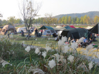 아산 곡교천 야영장 수해 복구 후 재개장