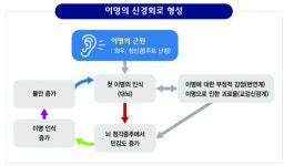 이명 환자 80% 난청 동반…개인별 맞춤 한방치료로 개선 가능
