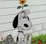 김지우 기분 꽃같아…똑똑한 사람이 해야 여우짓 의미심장[in스타★]