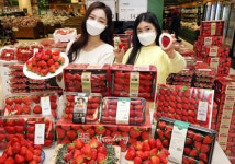 이마트, 18~24일 320톤 딸기 챔피언 행사 진행