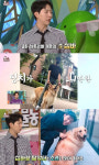 씨엔블루 이정신 7살 된 아들이 있다, 이름은 이심바 (동물농장)