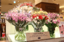 신세계백화점 강남점, 27일까지 블라썸 데이 행사 진행…화훼농가 돕기 프로젝트