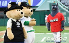 SSG 마스코트 ’랜디’도 질투한 ‘별다방 곰’들의 인기[SC스토리]