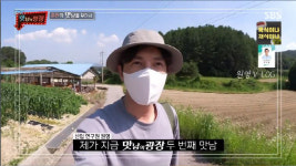 최원영♥심이영, 깔끔한 주방 러브하우스 깜짝 공개..아스파라거스 맛남이 선정 [종합] (맛남의광장)