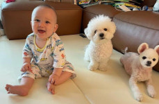 비혼모 사유리, 혼자서 아들 정말 잘 키우네..또래보다 큰 슈퍼 베이비