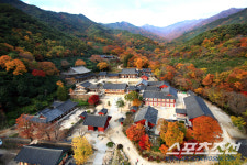 지리산 절경, 절대 놓쳐서는 안 될 구례10경
