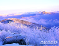 지리산 절경, 절대 놓쳐서는 안 될 구례10경