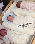 인공수정 출산 황신영, 힘들게 낳은 세쌍둥이 성격 모두 제각각 신기해