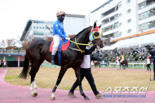 [경마]최강 3세마 향한 마지막 승부, 농림축산식품부장관배 출격준비 완료!