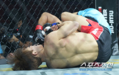 UFC 파이터도 한방에 끝. 레프트 한방+리어네이키드초크 오호택, 필리핀 강자에1R 승리. [브레이브CF]
