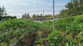 다시 뜨는 안심 여행, 소규모 농촌 체험 어때요?