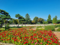 단순해서 좋다 고품격 휴양의 정수 남원…여유+여유, 가는 곳마다 눈이 번쩍
