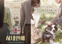 픽미픽미이화초점 | "단순히 선정성? NO!"...'사내연애'→'펫미픽미', 새로움을 추구하는 연애예능[SC초점]