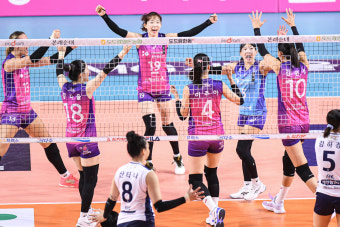 '김연경+옐레나 36득점' 흥국생명, 기업은행에 셧아웃 완승…2위 '점프' [인천리뷰]