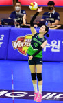이제는 서브까지…더 무서워진 이다현, 어디까지 성장할까