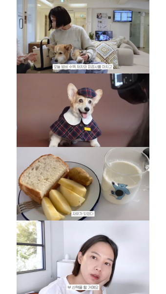 윤승아, 반려견 암투병 병원 방문→“김무열 없을 때 좋은 점..” 솔직 고백 (승아로운)