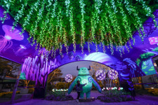 블링 블링 특별한 연말, 빛나는 한 해 마무리 명소 어디?