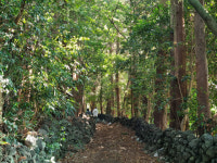 뻔한 제주 여행은 그만…현지인처럼 보고, 먹고, 즐기고