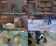 동물농장 고소했던 야생카페 사장, 동물학대 혐의로 구속송치