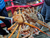 울진 대게, 대게 대게 맛있네…이현세 품은 마을도 인상적