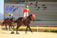 <경마> 제21회 헤럴드경제배 개최, 알고 보면 더 재미있는 3가지 관전 포인트