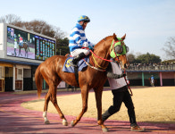 [경마] 제26회 코리안더비 경주 시행-경주마 일생 중 단 한 번의 기회, 최강 3세마를 향한 질주가 시작된다!