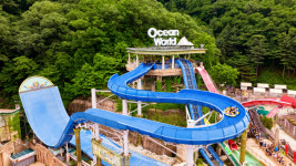 대명소노, 오션월드 세트권 6월 한정 특가 판매