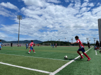 11년째 커피전문점-풀뿌리 축구 콜라보! 탐앤탐스컵 유소년 축구대회 24일 열린다