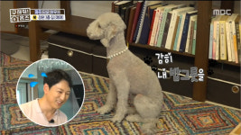 우리 처갓집인데?! 한석준 놀란 부동산 매물 팔렸다…의뢰인 최종선택 (구해줘홈즈)[종합]