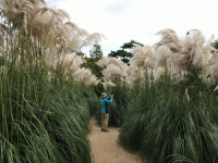 충남으로 떠나는 시간 여행…교육, 관광, 워케이션까지 즐긴다
