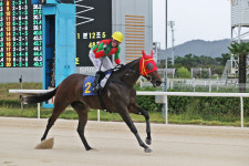 [경마]경마 루키 2세 쥬버나일대격돌… 끝날 때까지 끝난 게 아니다