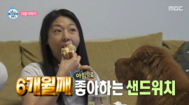 설현, 탄탄 팔 근육→클라이밍 선수급 포스 하나에 미쳐 울고 웃어 (나혼산)[종합]