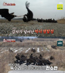 살려고 한국 찾았는데… 날개 잃은 독수리의 외침(TV동물농장) [SC리뷰]