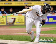 방망이 패대기 문제 있다. 만원 관중 뒤집어지게 만든 페라자의 죄 [대전 현장]