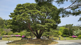 갈수록 매력 있는 충남 아산…가족과 함께라면 만족도 200%