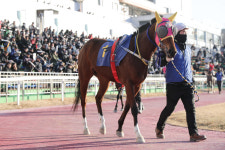 [경마]3년 연속 암말 삼관마는 탄생할 것인가? 제18회 경기도지사배(G3) 개최