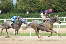 [경마]명품 혈통의 신예 경주마 캡틴피케이, Rookie Stakes@서울 특별경주 우승하며 슈퍼 신인 등극