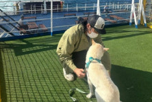 [SCin스타] 11년 제주살이 마침표… 구아나만 남았네 이효리♥ 이상순 뭉클 소회